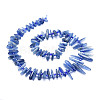 Natural Kyanite Beads Strands G-E569-O02-2