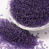 8/0 Glass Seed Beads X-SEED-J013-F8-13-1