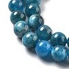 Natural Apatite Beads Strands G-O186-G01-01-3