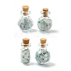 4Pcs Glass Wishing Bottle Decorations PALLOY-JF03100-1