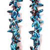 Synthetic Turquoise Dyed Beads Strands G-P507-04Q-2
