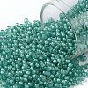 TOHO Round Seed Beads X-SEED-TR11-0954F-1