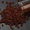 TOHO 6/0 Round Beads X-SEED-TR06-2154-1