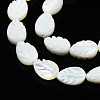 Natural Trochid Shell/Trochus Shell Beads Strands SSHEL-N034-135A-01-3