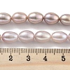 Natural Cultured Freshwater Pearl Beads Strands PEAR-P062-10E-5