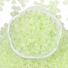 Transparent Colours Glass Seed Beads SEED-P008-01B-03-3
