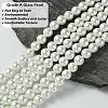 Eco-Friendly Dyed Glass Pearl Round Bead Strands X-HY-A002-8mm-RB001-4