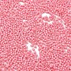 Baking Paint Glass Seed Beads SEED-S042-05B-86-3