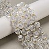 Natural Quartz Crystal Beads Strands G-K387-A16-02-1