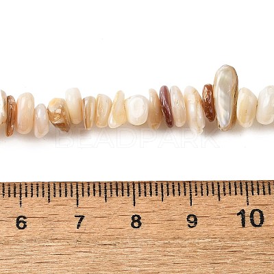 Natural Shell Beads Strands BSHE-G029-01B-1