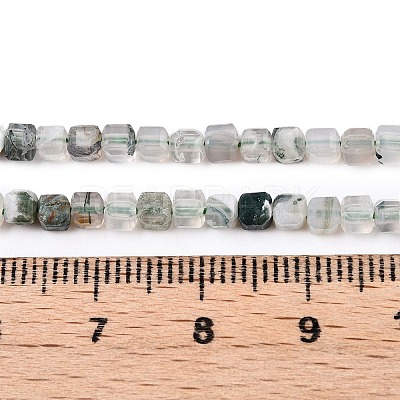 Natural Moss Agate Beads Strands G-T138-211K-1