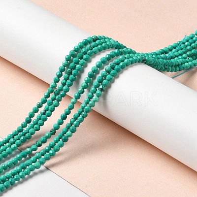 Natural Howlite Beads Strands G-C025-02B-02-1