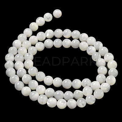 Natural Sea Shell Beads Strands SSHEL-K013-5.5mm-A-1