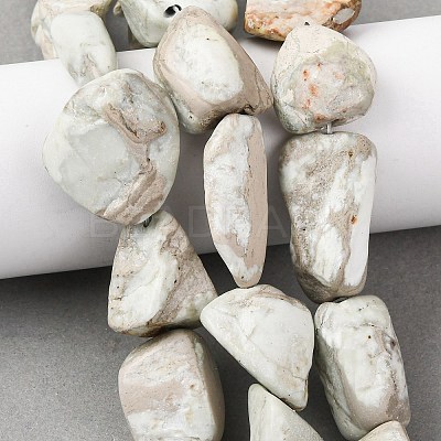 Natural Variscite Beads Strands G-D098-C09-1
