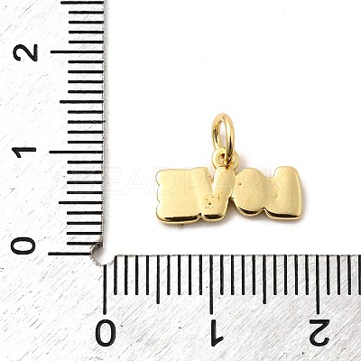 Brass Enamel Charms KK-A268-10G-02-1