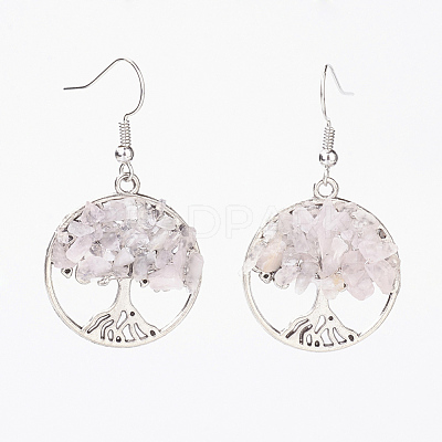 Natural Gemstone Dangle Earrings X-EJEW-JE02475-1