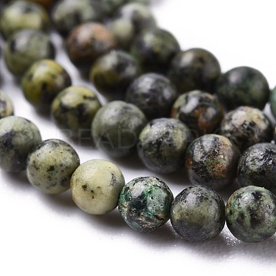 Natural African Turquoise(Jasper) Beads Strands G-N0188-02-2mm-1