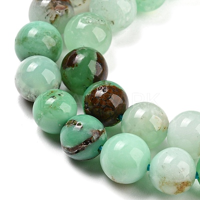 Natural Chrysoprase Beads Strands G-P503-8MM-03-1