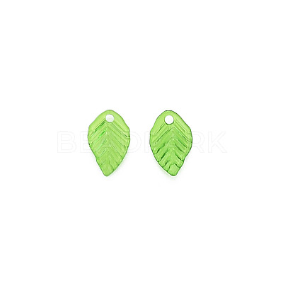 Transparent Acrylic Charms X-TACR-T012-04-1