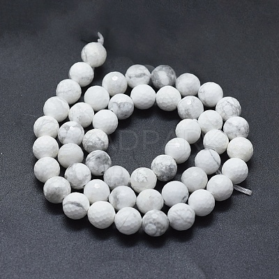Natural Howlite Beads Strands G-D0013-65-1