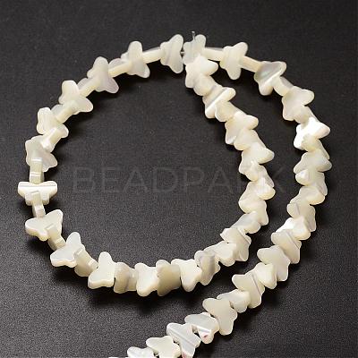 Natural Trochid Shell/Trochus Shell Beads Strands SSHEL-K011-02-1