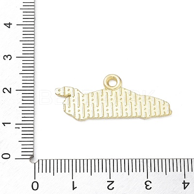 Racing Car Theme Alloy Enamel Pendants AL-CBA4666-03B-01-1