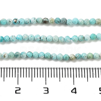 Natural HuBei Turquoise Beads Strands G-G792-38-01-1