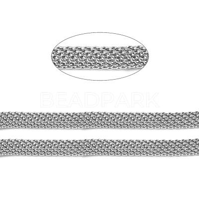 Tarnish Resistant 304 Stainless Steel Mesh Chains/Network Chains STAS-P245-51A-P-1