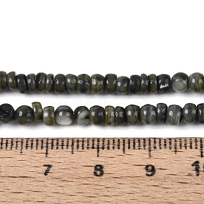 Natural Freshwater Shell Dyed Beads Strands SHEL-T020-29A-01-1