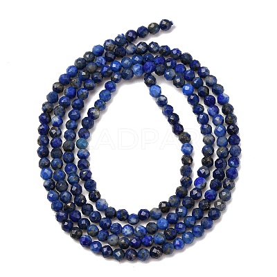 Natural Lapis Lazuli Beads Strands G-E351-09-1