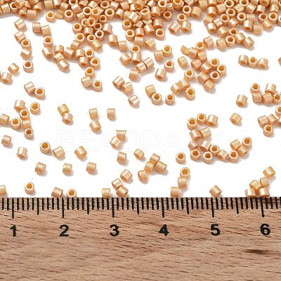 Baking Paint Glass Seed Beads SEED-S042-15B-26-1