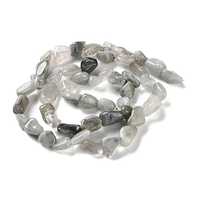 Natural Eagle Eye Stone Beads Strands G-P497-01C-14-1