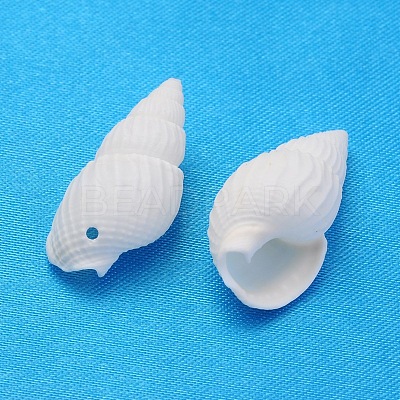 Natural Trumpet Shell Beads BSHE-S061-1