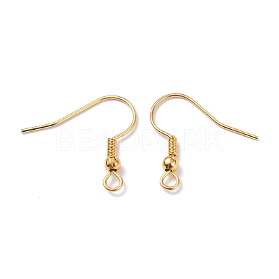 304 Stainless Steel Earring Hooks STAS-T031-17G-1
