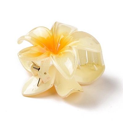 Plastic Claw Hair Clips OHAR-P020-08C-1