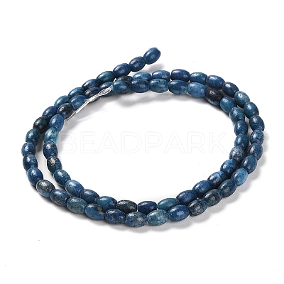 Natural Dolomite Beads Strands G-F765-A03-01-1