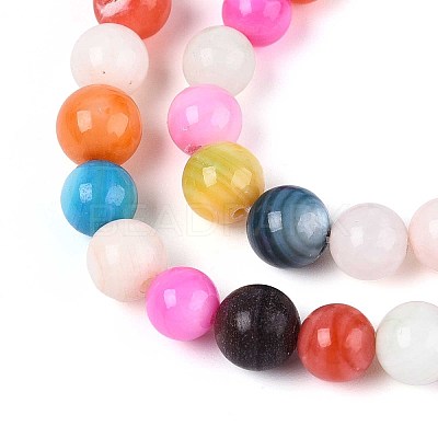 Freshwater Shell Beads Strands SHEL-T013-003-1