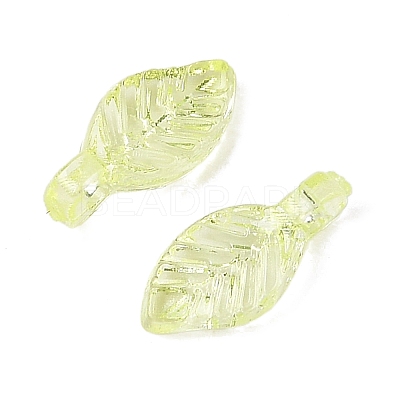 Transparent Acrylic Charms TACR-F009-11A-1