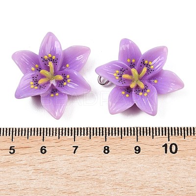 Opaque Resin Pendants CRES-D328-04A-1