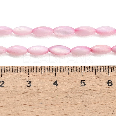 Natural Freshwater Shell Beads Strands X-SHEL-C010-01E-1