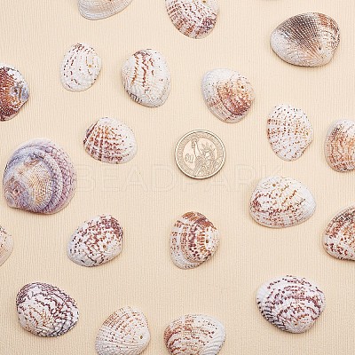 1 Box Scallop Seashells Clam Shell Dyed Beads with Holes for Craft Making 40-50pcs BSHE-YW0001-01-1
