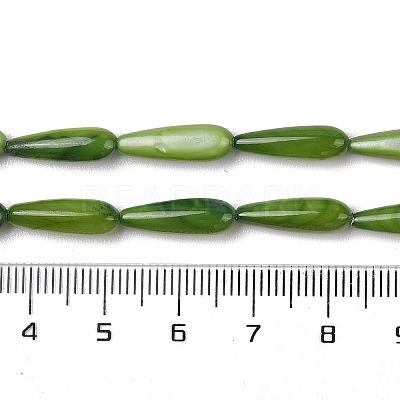 Natural Freshwater Shell Beads Strands SHEL-A004-03B-1