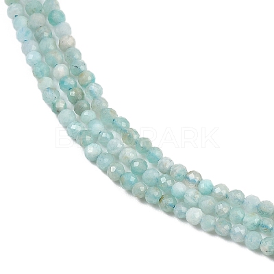 Natural Amazonite Bead Strands G-P279-42-2mm-01-1