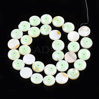 Natural Freshwater Shell Enamel Beads SHEL-N026-194-03B-1