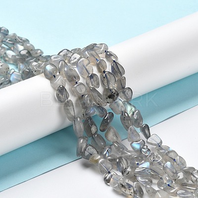 Natural Labradorite Beads Strands G-P497-01A-03-1