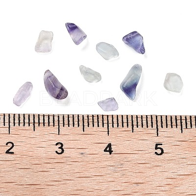 Natural Fluorite Beads G-L491-03-1