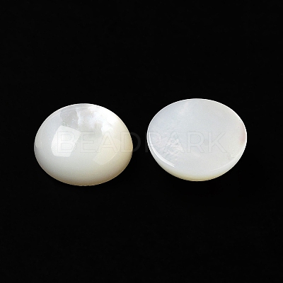 Natural White Shell Cabochons SSHEL-M022-01C-1