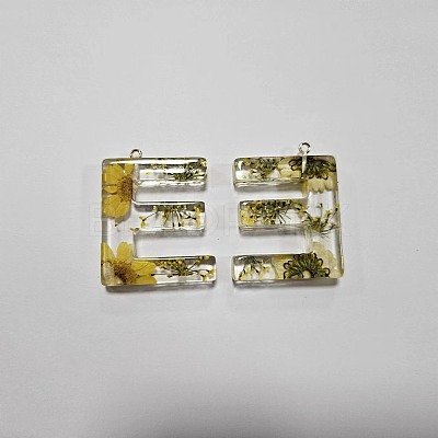 Transparent Epoxy Resin Pendants CRES-YW0002-12E-1