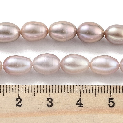 Natural Cultured Freshwater Pearl Beads Strands PEAR-P062-10E-1