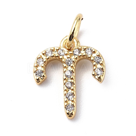 Brass Micro Pave Cubic Zirconia Charms ZIRC-F131-16G-10-1